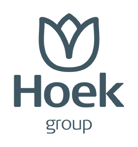 Hoek group